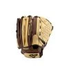 Mizuno Prospect Paraflex Series Youth Baseball Glove 11.75" (Throw Left)